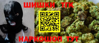 тгк Кингисепп