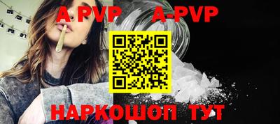 тгк Кингисепп