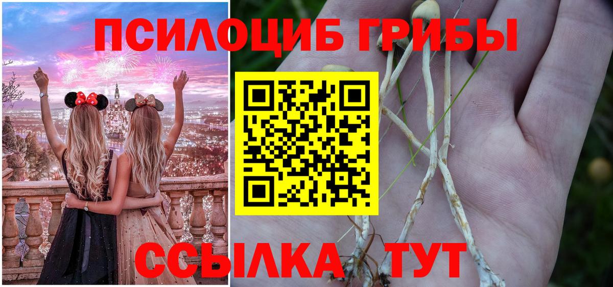 Коломна  Псилоцибиновые грибы мицелий  Вход с VPN 